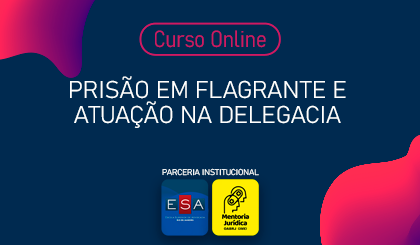 Priso em flagrante e atuao na delegacia